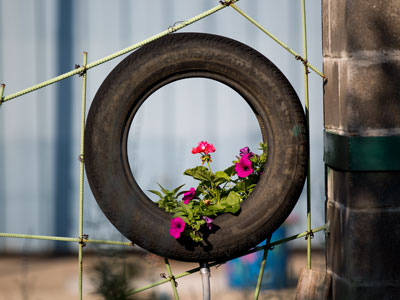 The destruction of the world is largely due to automobiles.