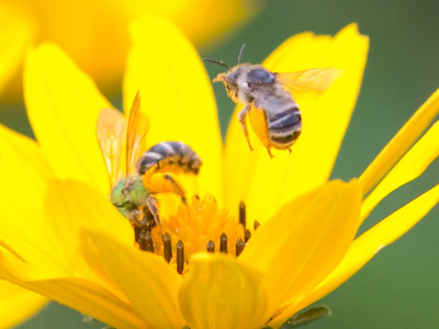 `Do you mind?  I`m busy here.`