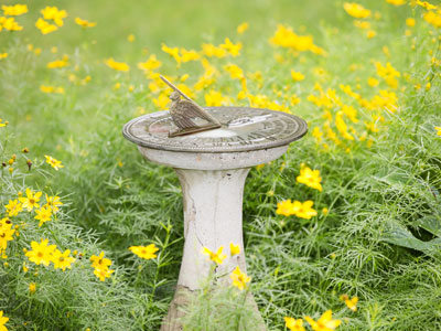 How do you tell what time it is on a rainy day?
