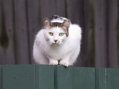 Ready to pounce on me.