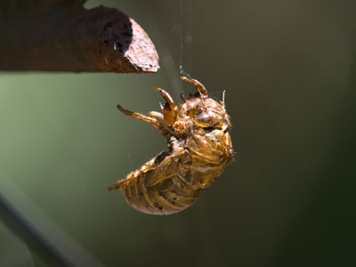 I`ve felt that way too (see June 15 above).