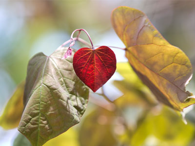 So fragile . . . don�t break it (see November 16, 2008;  August 28, 2009;  and November 19, 2009).