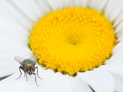 It would be a shame if someone looked at this photo and assumed it was the result of luck and not careful effort.