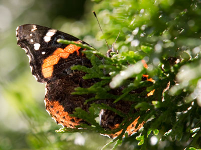 Fine -- hide from me.