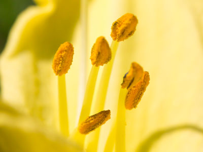 There were no mercenary photographers in the park this morning, trying to take pictures of screaming children.