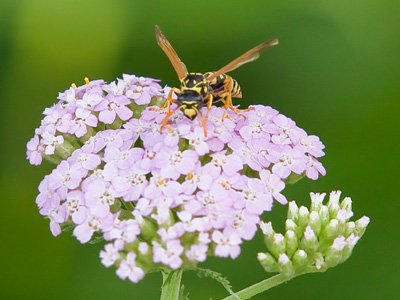 What`s going on here is more important than anything you or I did today, but hardly anyone is concerned.