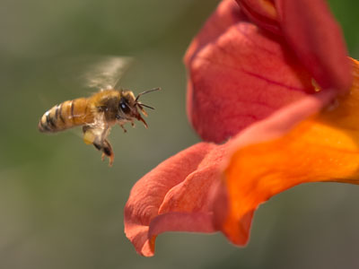 Morning on Hess Street.
