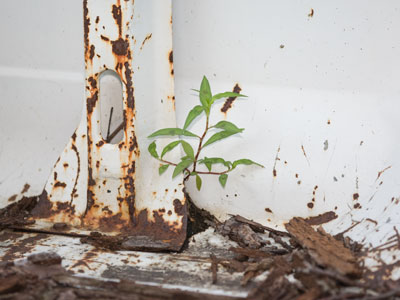 Signs of life in a rusty Ford Explorer.