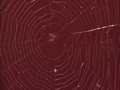 It`s a real fixer-upper.