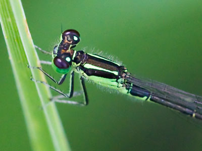 How I spend my day off work.