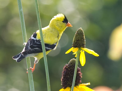 One last shot as I walked through the parking lot.