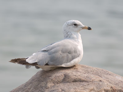 It`s a lazy morning for everyone.