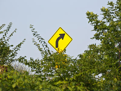 Next right:  civilization.