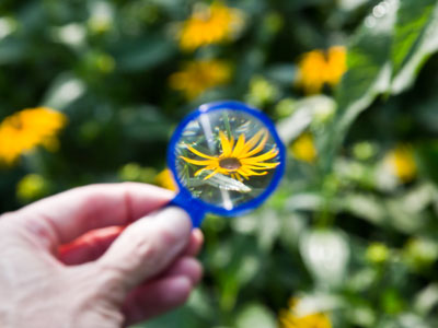 I bought a new lens.