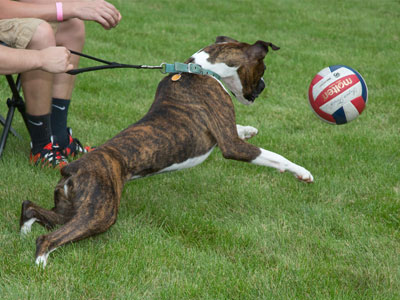 Not everyone was allowed to play volleyball.