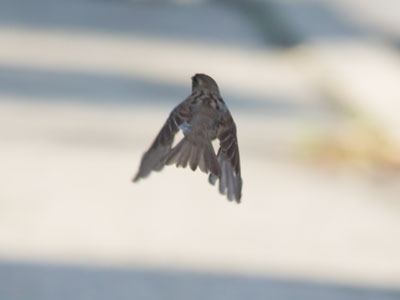 It`s the only way to fly.