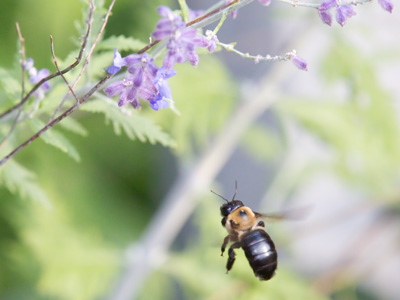 It was love at first sight.