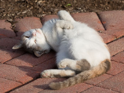 Sorry, that doesn`t work with me.