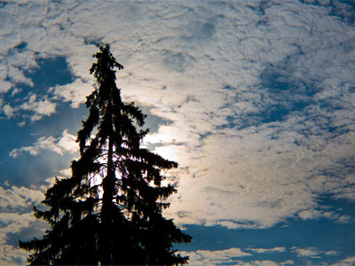 Not really early, but early enough.