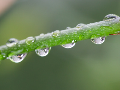 If you look closer, it`s easy to trace the tracks of my tears. SMOKEY ROBINSON