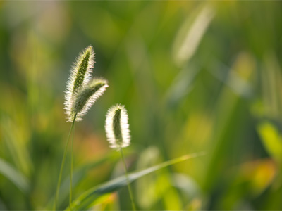 Good morning.  Yes, it was a good morning.