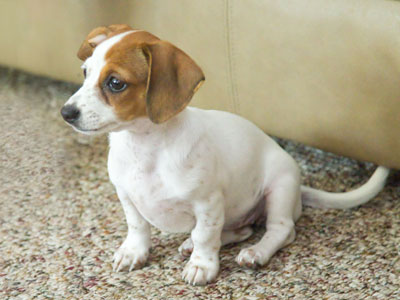 Everybody`s favorite party guest.