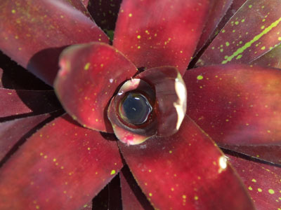 There`s a reservoir of water in there.