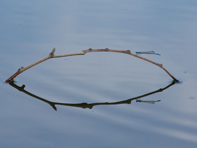 If I was yapping on the phone or watching someone else yapping on TV, I never would have gotten this photograph.