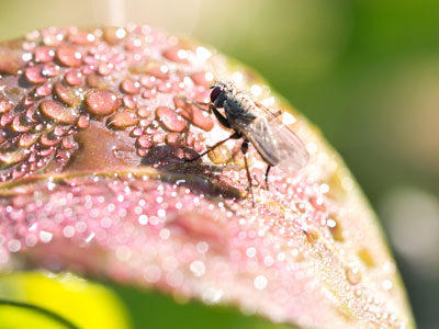 If the sky is clear and it isn`t very windy, then that warmth radiates into space.