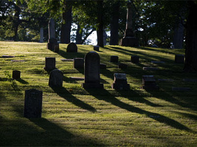 Lyrics of Sunshine and Shadow.