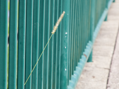 Breaking boundaries.