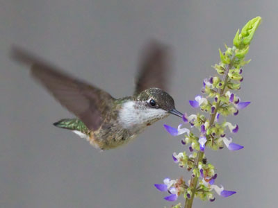 A nice picture to end the month with.