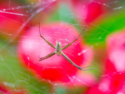 The world is a dangerous place.