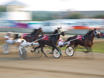 Excitement at the Montgomery County Fair.