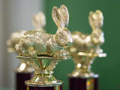 Every bunny`s dream.