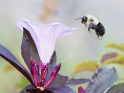 I refuse to tell you how many shots it took to get this one.