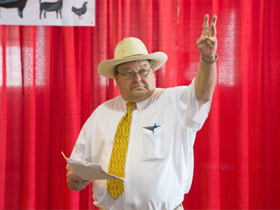 During the livestock auction, I moved as little as possible to avoid accidentally buying a heifer.