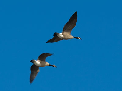 They`re heading north, so that`s a good sign.