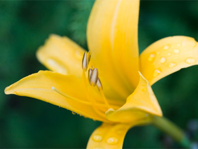 Spring is my favorite, but this year summer was better.