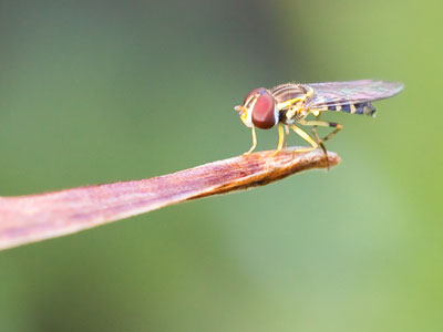First time on the high dive.
