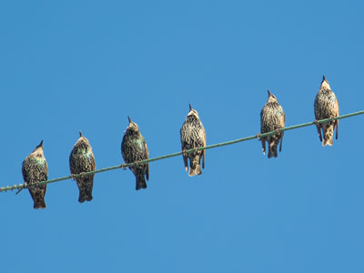 The search committee will see you now.