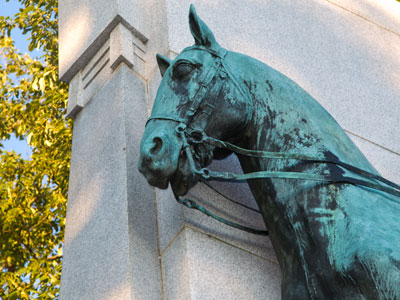 When it`s cold, this horse is very uncomfortable to ride.