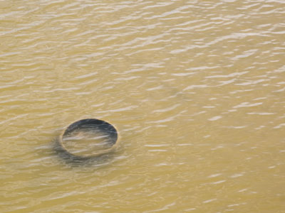 Fishing in the River Anduin, Deagol found the One Ring that had slipped from Isildur`s finger 2,500 years earlier.