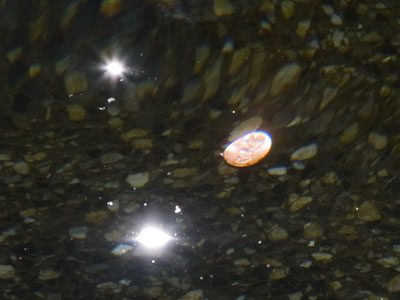 If I ever get really hard up, I`m going in after those coins.