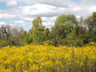 After seeing an exhibition of beautiful landscape photos by Brother John Lemker, I was inspired to zoom out . . . 