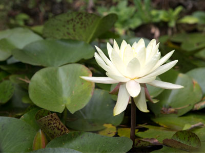  . . . but that didn`t last long.