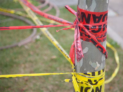 Beware of the dangerous tree.