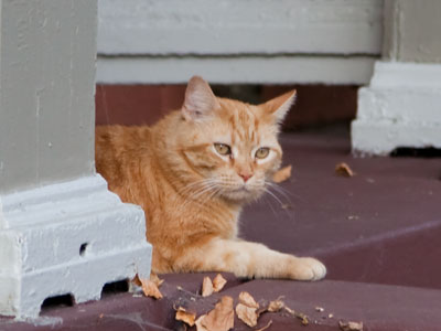 Reflecting on the day`s cruelties.