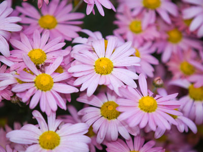  . . . but let`s pretend it`s still summer.