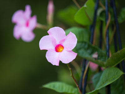 See what I did there?  I followed and violated the rule of thirds in the same picture.